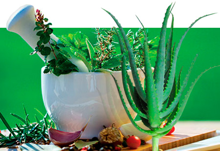 Aloe medicina natural